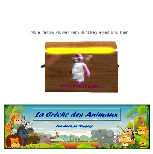 oYo Bundle - Male Yellow Flower