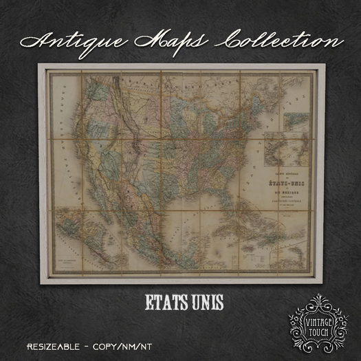 Vintage Touch Antique Map (Etats Unis)