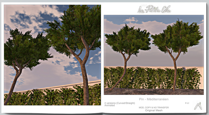 La Petite Vie - Pin - Mediterraneen