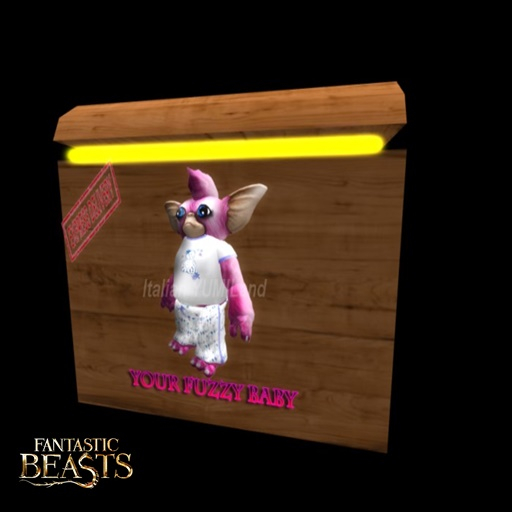 oYo Bundle - Female Blue Teddy