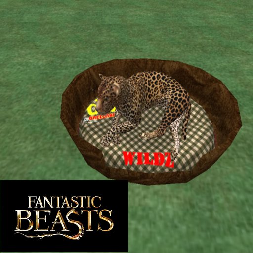 oYo Bundle - Female Black Leopard