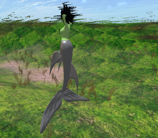 MMnM Bento Mermaid Pointed Fins