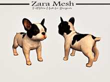 Zara Mesh - Animals - French Bulldog 2 - FULL PERM MESH