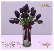 ~Precious Black Tulips~