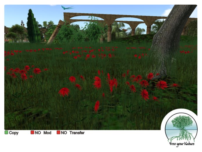 Green grass and red flowers