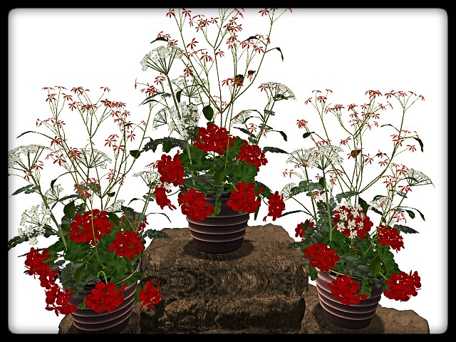 [AE] Garden Store - Spring Plant Sale- Celia 5