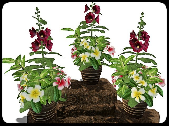 [AE] Garden Store - Spring Plant Sale- Celia 3