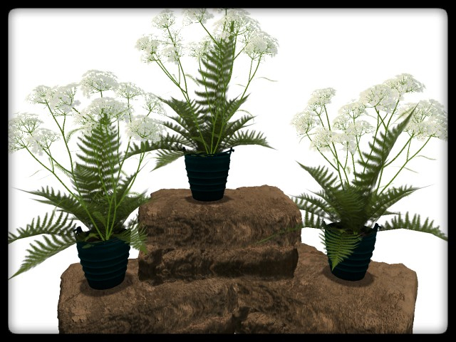 [AE] Garden Store - Spring Plant Sale- Celia 1