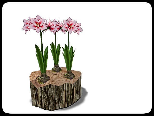 [AE] Garden Store - Spring Plant Sale - Trinity 3