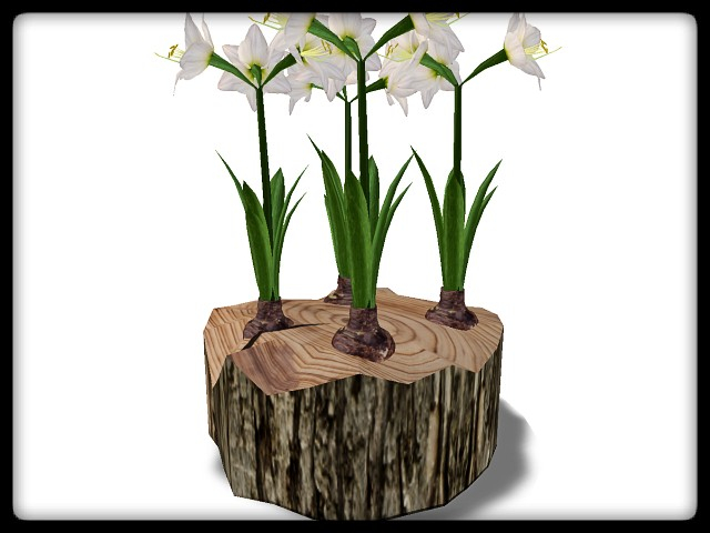 [AE] Garden Store - Spring Plant Sale - Trinity 1