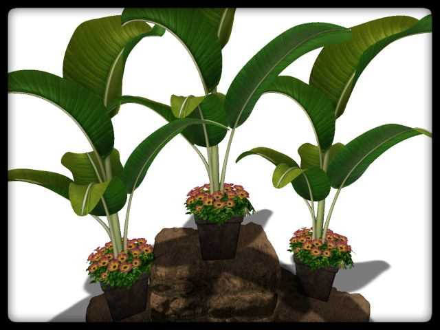 [AE] Garden Store - Spring Plant Sale - Cranford 2