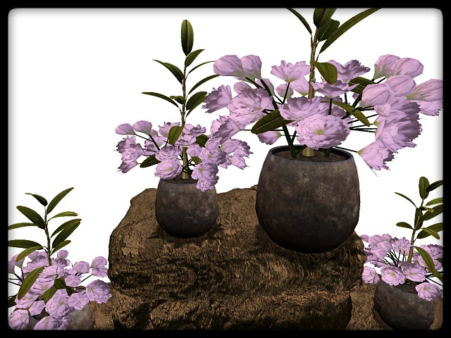 [AE] Garden Store - Spring Plant Sale - Conde 2