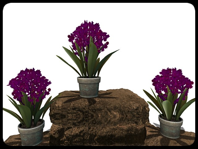 [AE] Garden Store - Spring Plant Sale - Blossom  3
