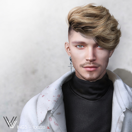 WINGS-HAIR-TO0220 Brown (Pack)