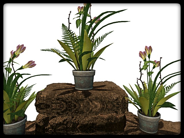 [AE] Garden Store - Spring Plant Sale - Blossom  2