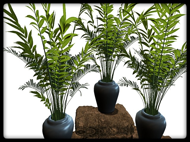 [AE] Garden Store - Spring Plant Sale - Bella