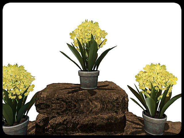 [AE] Garden Store - Spring Plant Sale - Blossom  1
