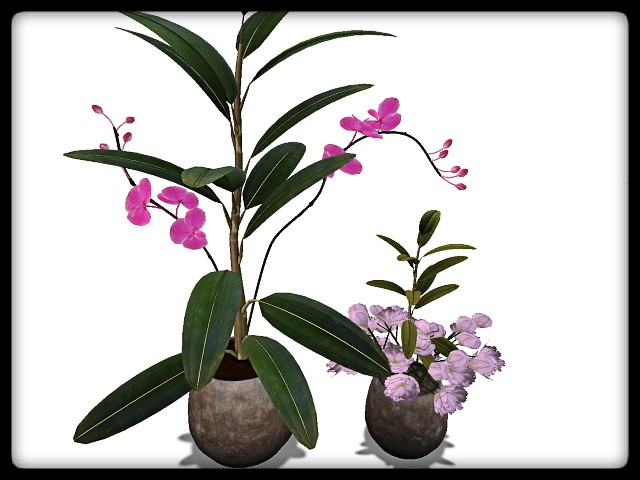 [AE] Garden Store - Spring Plant Sale - Conde SET