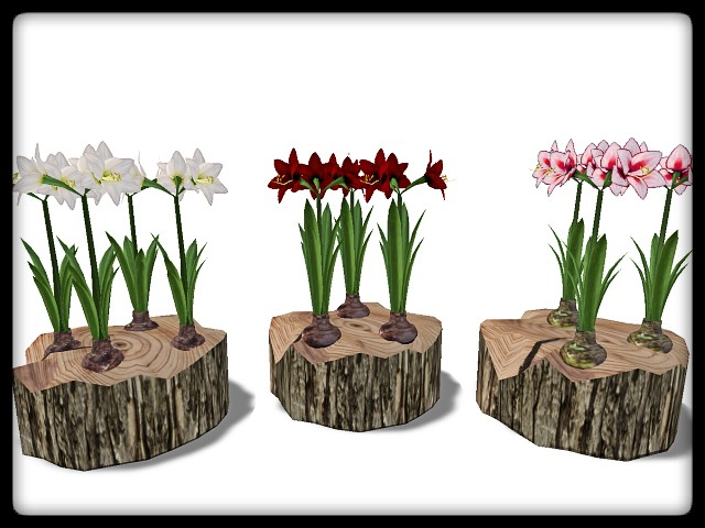 [AE] Garden Store - Spring Plant Sale - Trinity SET