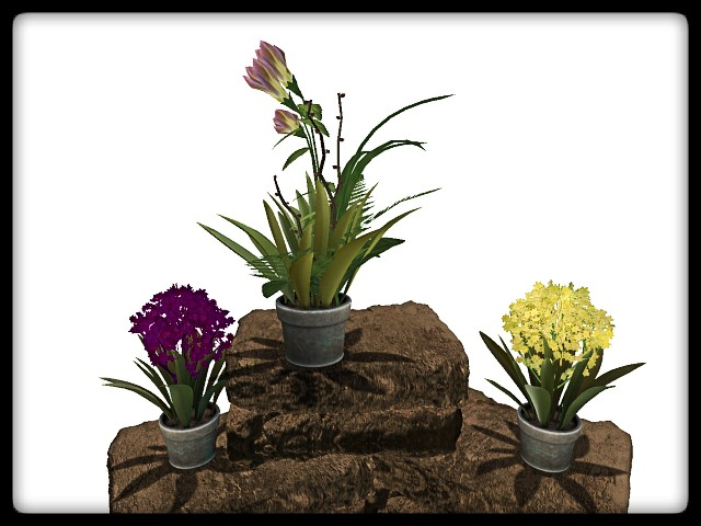 [AE] Garden Store - Spring Plant Sale - Blossom  SET