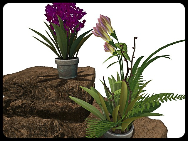 [AE] Garden Store - Spring Plant Sale - Blossom  SET 3