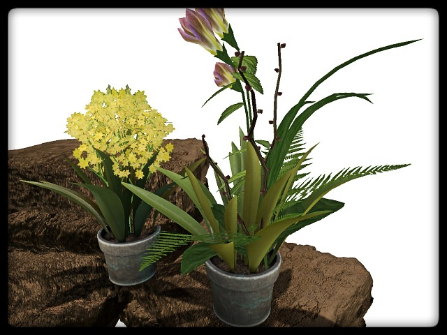 [AE] Garden Store - Spring Plant Sale - Blossom  SET 2