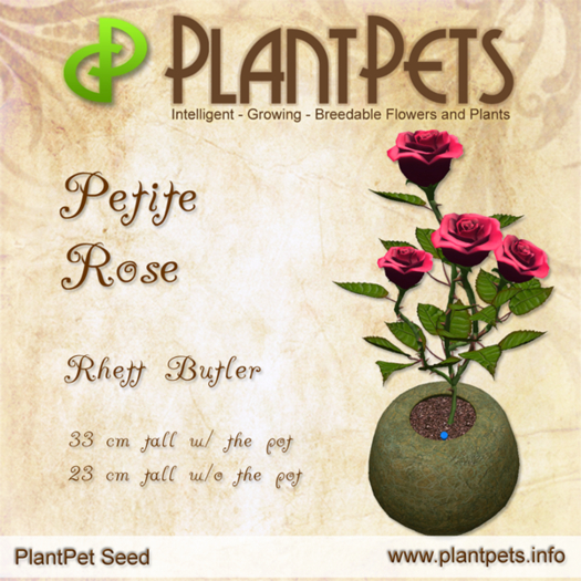 PlantPet Seed [Petite Rose *Rhett Butler*] - COMMON