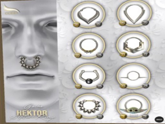 11 CODEX_HEKTOR Septum ring n.11