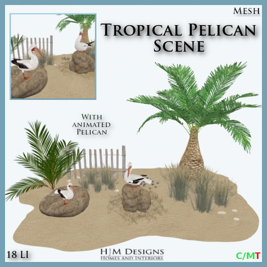 Tropical Pelican Scene