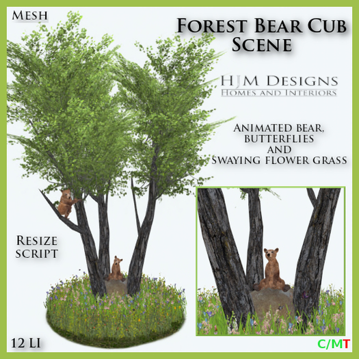 Forest Bear Cub Scene