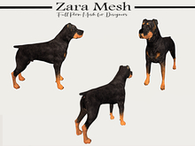 Zara Mesh - Animals - Doberman Dog - FULL PERM MESH