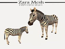 Zara Mesh - Animals - Zebra - FULL PERM MESH