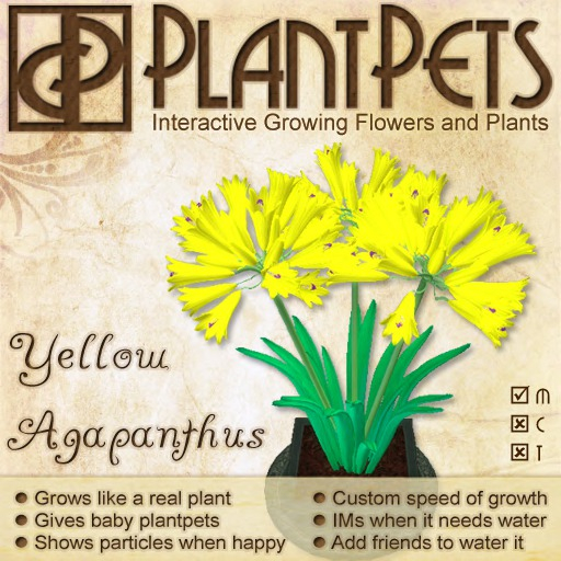 PlantPet Seed [Agapanthus *Yellow*] Updated 