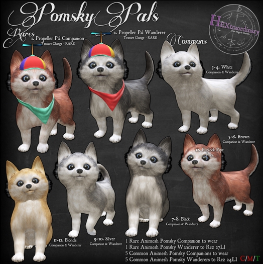 10. *HEXtraordinary* Pomsky Pal Wanderer - Silver