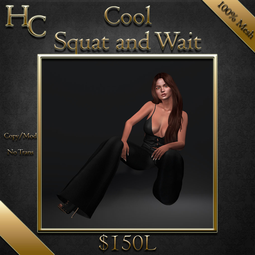 HC Poses - Cool Squat n' Wait F