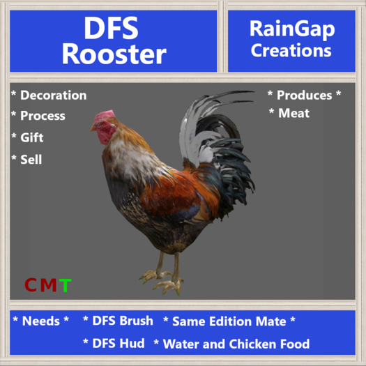 DFS Rooster