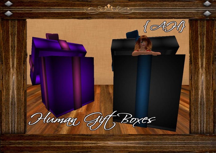 {AH} Human Gift Box - Gray
