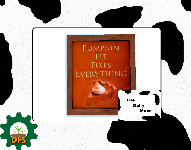 [ free bird ] Pumpkin Pie Framed Picture RARE
