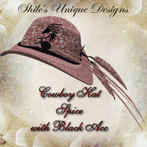 COWBOY HAT SPICE BLACK ACC