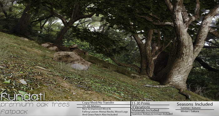 (Fundati) Premium Oak Trees Fatpack