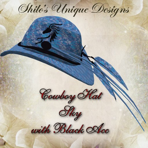 COWBOY HAT SKY BLACK ACC