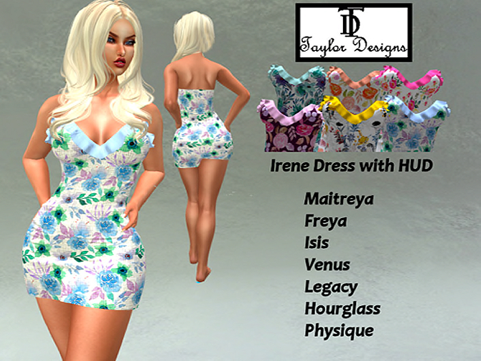 TD Irene2  DEMO