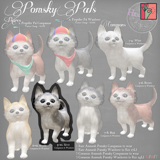 10. *HEXtraordinary* Pomsky Pal Wanderer - Silver