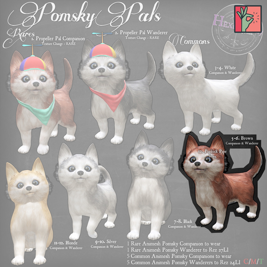 6. *HEXtraordinary* Pomsky Pal Wanderer - Brown