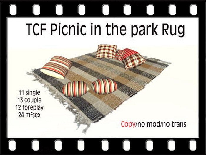 TCF Picnic in the park Rug