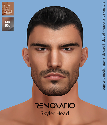 RENOVATIO Evo Cesar Shape