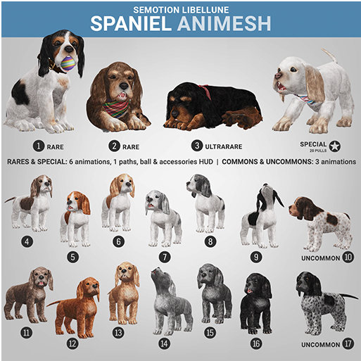 SEmotion Libellune Spaniel Animesh #2 RARE