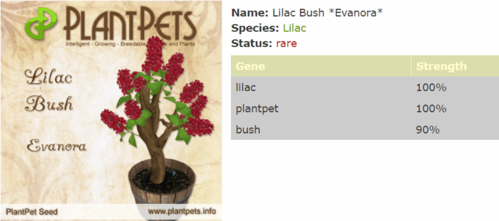 PlantPet Seed [Lilac Bush *Evanora*]