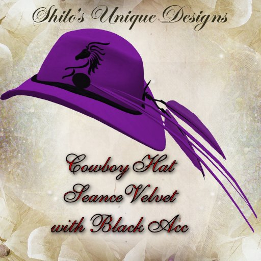 COWBOY HAT SEANCE VELVET BLACK ACC