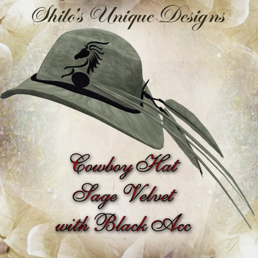COWBOY HAT SAGE VELVET BLACK ACC
